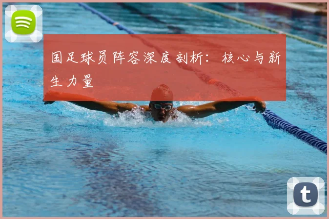 国足球员阵容深度剖析：核心与新生力量
