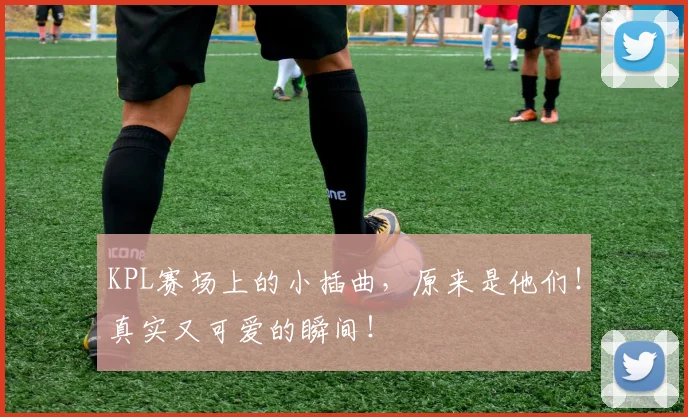 KPL赛场上的小插曲，原来是他们！真实又可爱的瞬间！
