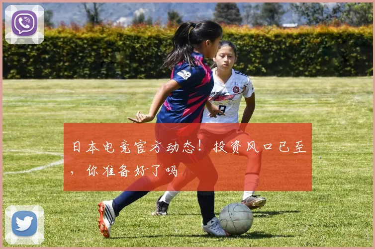 日本电竞官方动态!投资风口已至,你准备好了吗