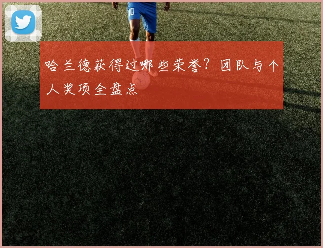 哈兰德获得过哪些荣誉?团队与个人奖项全盘点